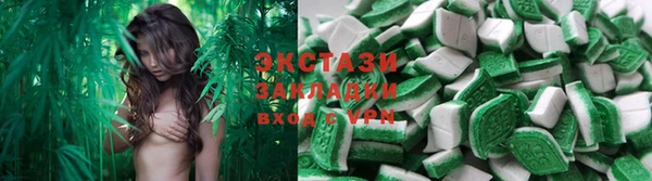 эйфоретик Аркадак