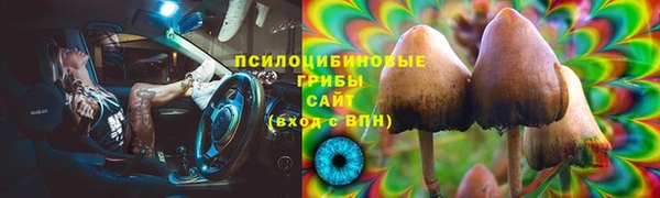 трава Арсеньев
