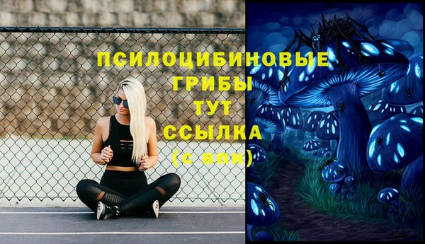 трава Арсеньев