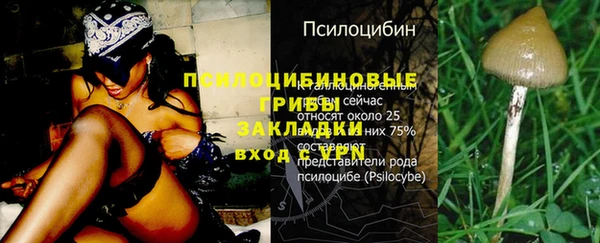 синтетический гашиш Армянск
