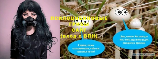эйфоретик Аркадак