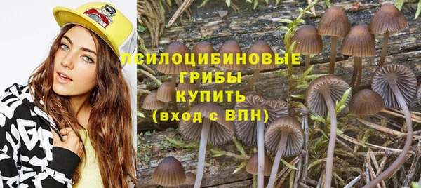 эйфоретик Аркадак