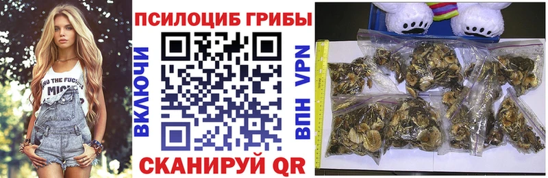 Галлюциногенные грибы Psilocybe  omg маркетплейс  Балтийск 