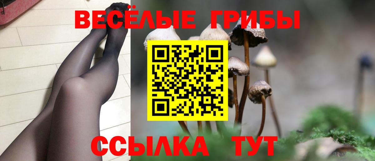Псилоцибиновые грибы прущие грибы  Вход с VPN  Балтийск  Галлюциногенные грибы ЛСД 